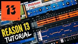 Reason 13 | The DAW they Love to Hate