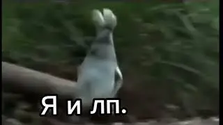 Замена.