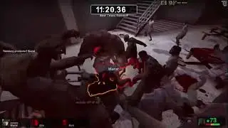 L4D2 Copemaxxing clips