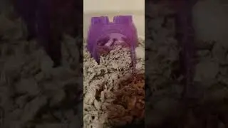 sleep