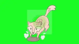 Fox Green Screen | Bloxx Green Screen