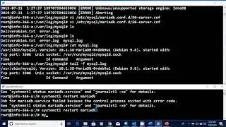 INFO 366 7 Logging MariaDB Practical