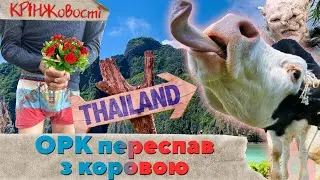 росіянин ПЕРЕСПАВ З КОРОВОЮ та курська СВО. КРІНЖовості. 24.08.24