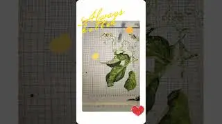 раз, два, три.... #Ночка #вышивка #листик #яблоко #слайд_шоу полное видео №119