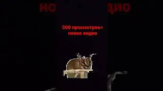 эх опять в школу
