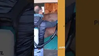 Utensili #makita per ogni settore: le scuderie