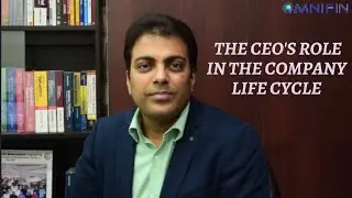 The roles of a CEO at different stages of a company's life cycle.