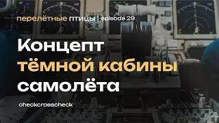 От аналога до цифры | История “темной кабины” в самолетах | Перелётные птицы