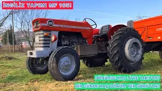 BRITISH MADE MASSEY FERGUSON 165!! ZERO-SET TRACTOR! OWNER TELLS US!