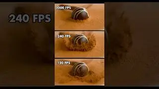 120fps vs 240fps drop fps test