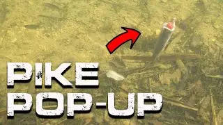 BEST WAY TO POP-UP A DEADBAIT | Pike Fishing | Daniel Woolcott