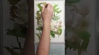 Время пионов, живая акварель 