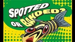 SPOTTED OR BANDED - 1st place - Amazinian M - #1 - Aracu COMPETITION