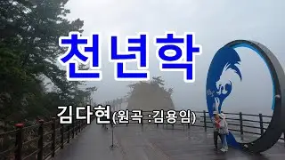 천년학 - 김다현
