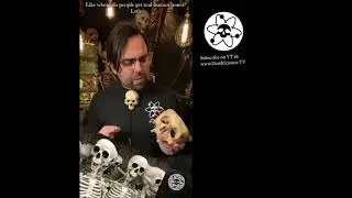 Origins of the Human Bone Trade