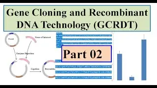 Gene selection for Project GCRDT 02