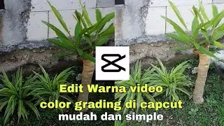 Cara Edit warna video colour grading di capcut dengan mudah dan gratis.