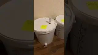 Вишневое пиво с цитрой