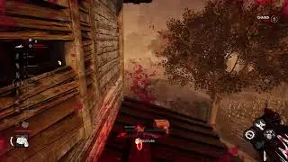 DBD 2v8
