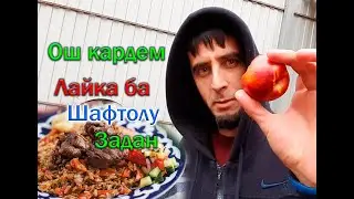 Иди Фитр дар Гариби 
