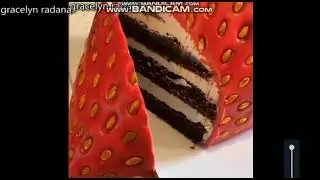 REALISTIC CAKES