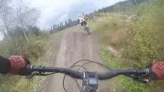 Fort Bill Shred