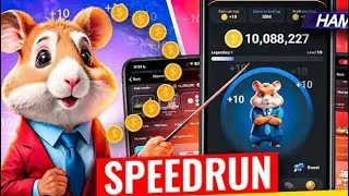 Hamster Kombat - ЧТО ДЕЛАТЬ С МОНЕТАМИ?  ЧТО КАЧАТЬ в Hamster Kombat ? Стратегия игры Hamster.