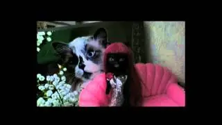 Спасибо за 12(14) котофеев^^