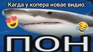 чтоп сто?