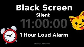Black Screen 🖥 11 Hour Timer (Silent) 1 Hour Loud Alarm  | Sleep and Relaxation