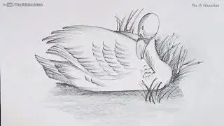 How to Draw a Bird with Shading | Easy and Step by Step