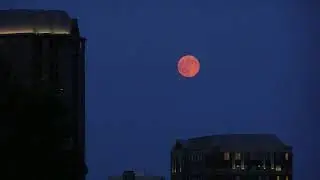 Full Moon Rising - 1982