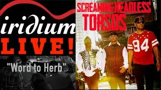 Screaming Headless Torsos  "Word to Herb"
