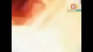 Заставка Программы 