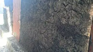 ስርቢስ ለማስገርፍ ስንት ብር ይጨርሳል