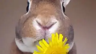 Счастье есть в каждом моменте! С ПРАЗДНИКОМ!