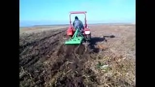 Foton 244 дискування помідорів