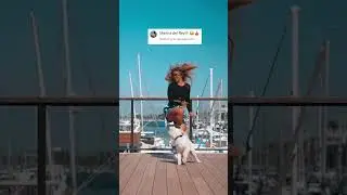 Tell me and Bon Bon where to dance next!! #dancingdog #viraltrends #dogsofinstagram #viraldance
