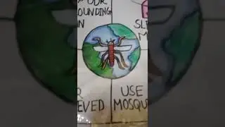 PREVENT FROM MOSQUITO DISEASES CHART #drawing #chart