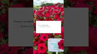 Не упускай возможность заказать семена|Впечатляющие скидки 01.11-10.11|Усадьба-Семена
