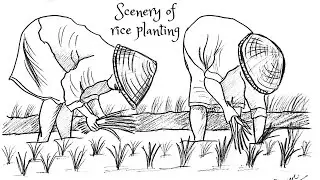 How to draw a farmer easily. Full Tutorial.