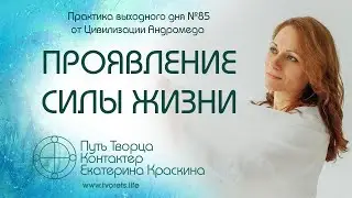 Проявление силы жизни | Практика выходного дня №85