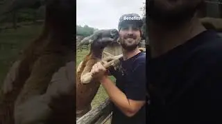 Every pet hug is a dose of pure joy that fills your heart with unconditional care
