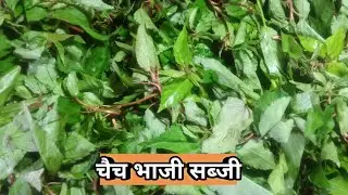 छत्तीसगढ़ी चैच भाजी की सब्जी l chech bhaji recipe l chech bhaji ki sabji बिल्कुल आसान तरीके से बनाए