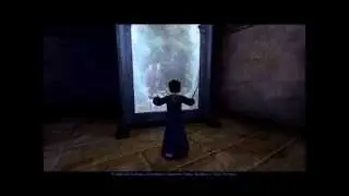 Harry Potter and the Sorcerer's Stone #12 {Миссис Норрис}