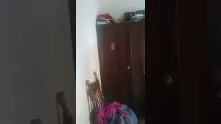 XD