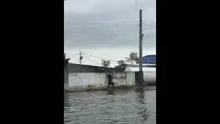 Аквамен наши дни.