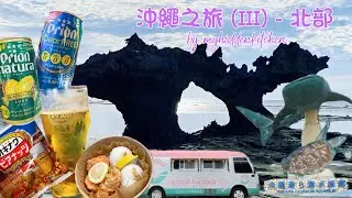 🇯🇵沖繩之旅(III) －北部 | 🚘自駕遊｜Trip to Okinawa- Part 3