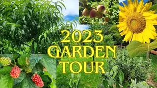 HUGE NZ VEGE GARDEN & ORCHARD TOUR- 2024 Garden Goals