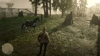 Red Dead Redemption 2 | Прохождение